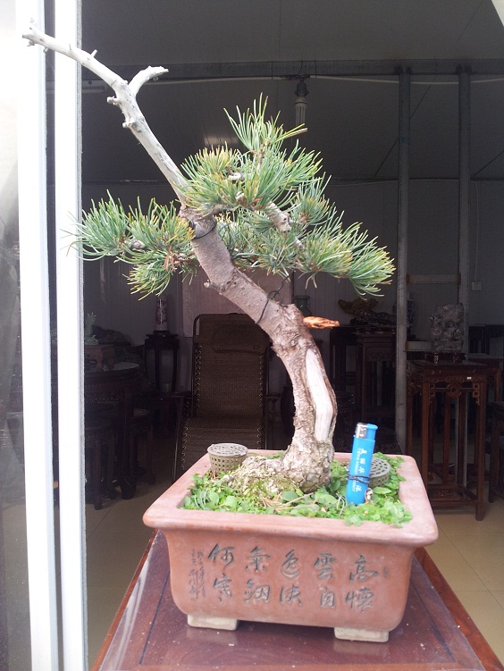 20121208_130901.jpg