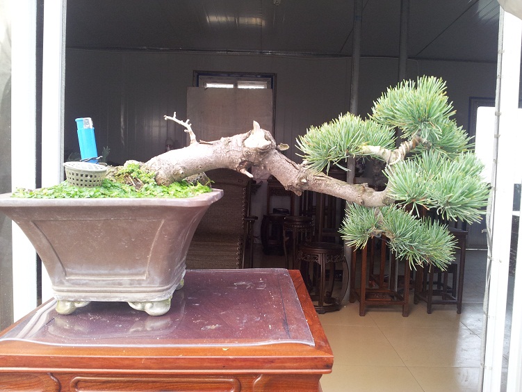 20121208_131153.jpg