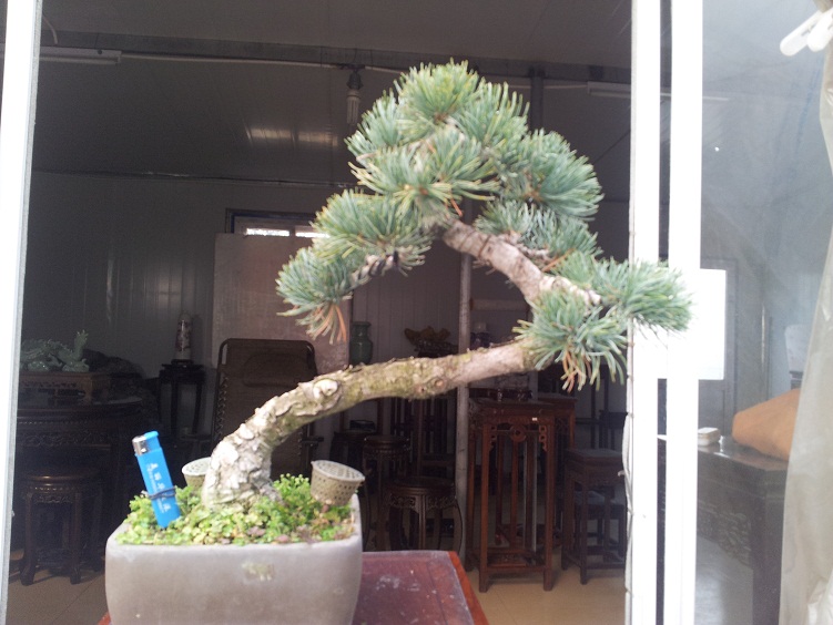 20121208_131816.jpg
