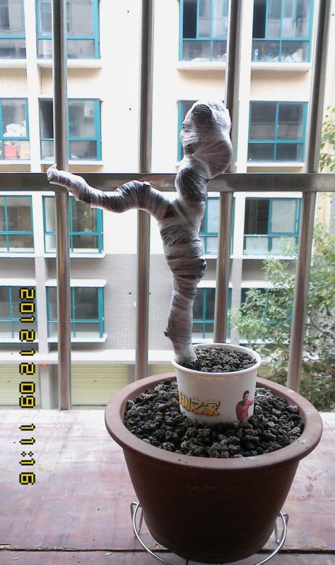 IMG1209111601.jpg