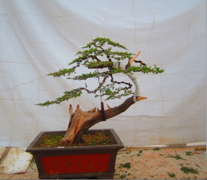 ZQ1HZV3WN1QIAD]%T898$`H.jpg