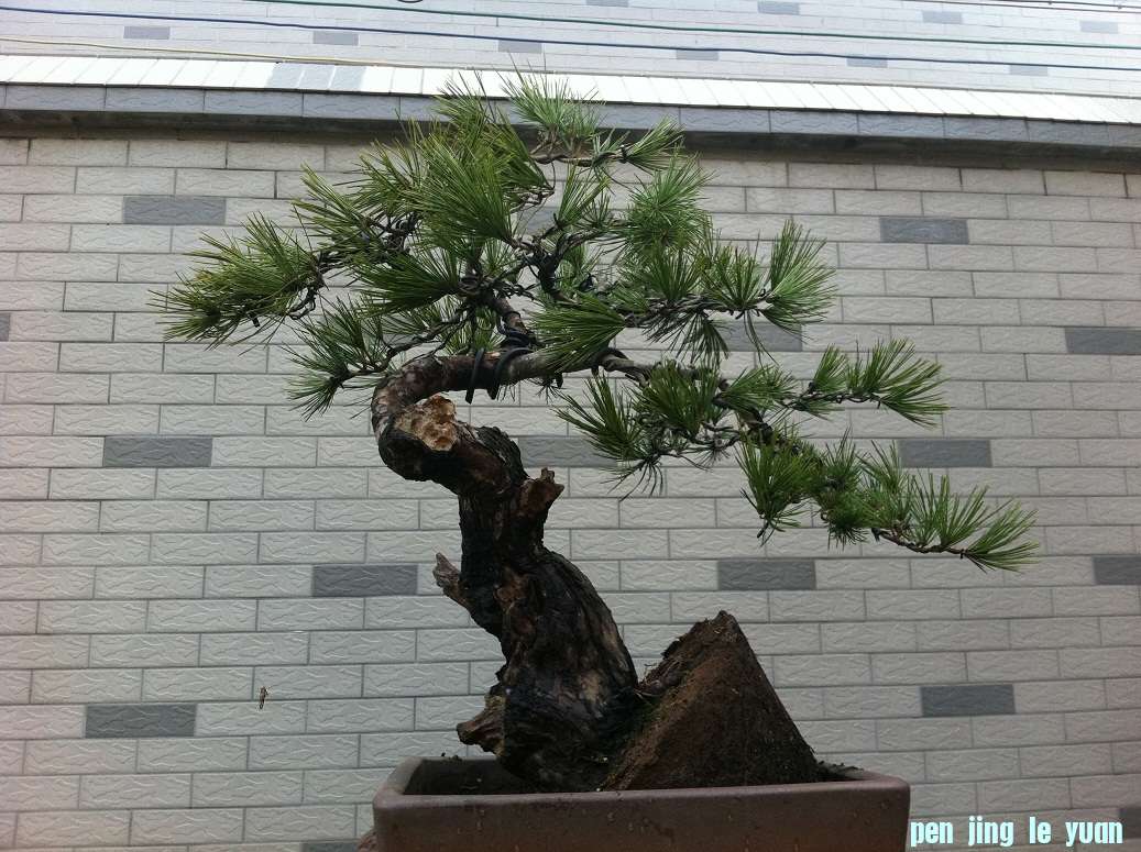 20121126���� 004.JPG