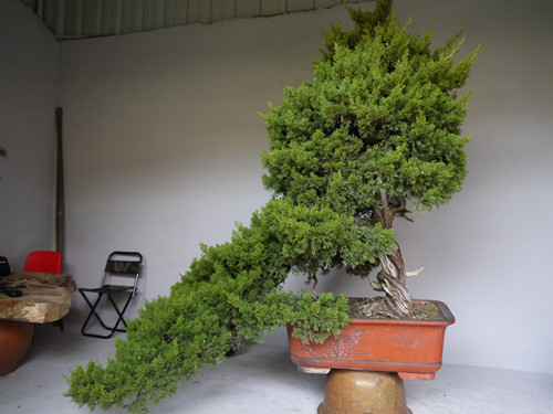 P1000464_.jpg