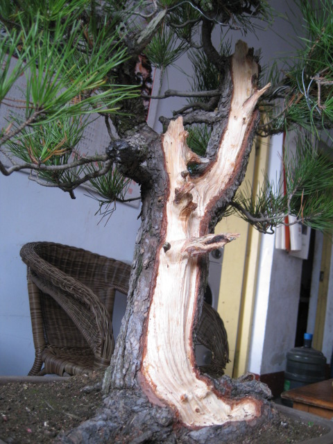 IMG_6674.JPG
