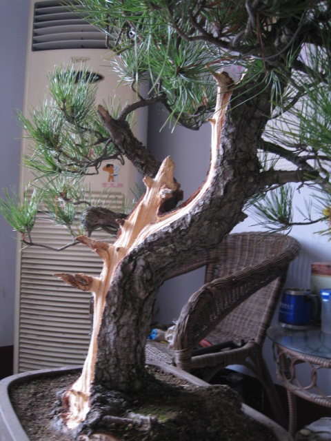 IMG_6677.JPG