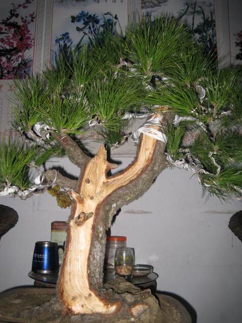IMG_6684.JPG
