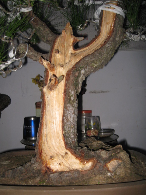 IMG_6685.JPG