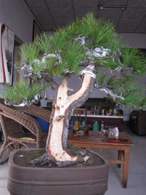 IMG_6687.JPG