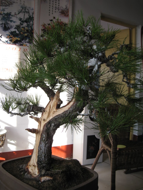 IMG_6688.JPG