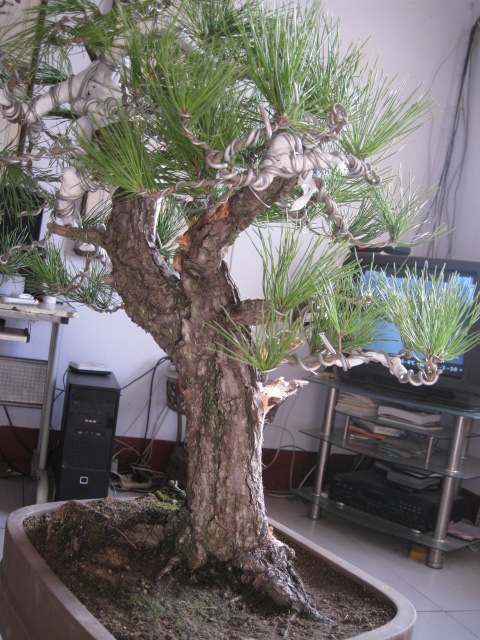 IMG_6690.JPG
