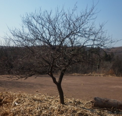 P1010056.JPG