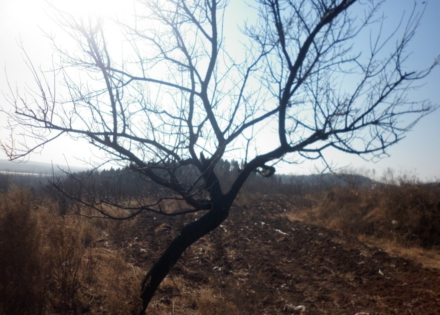 P1010042.JPG