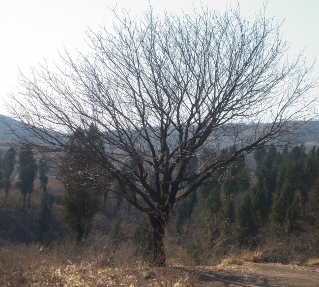 P1010057.JPG