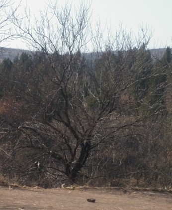 P1010058.JPG