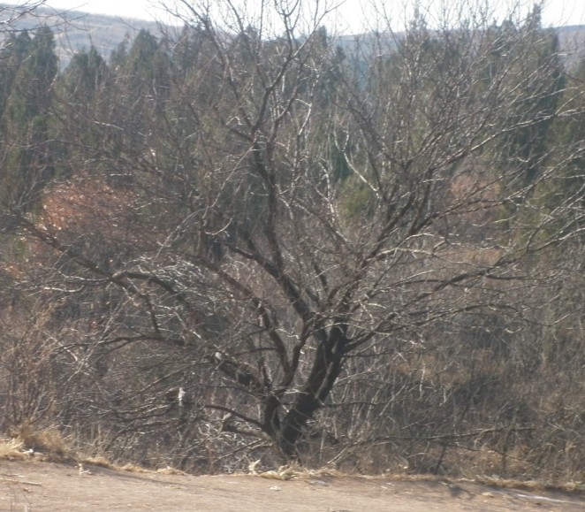 P1010059.JPG