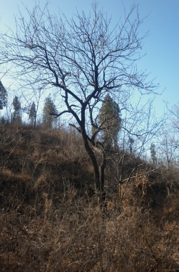 P1010032.JPG