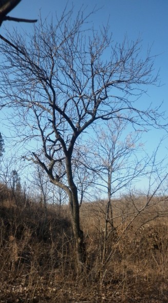 P1010033.JPG
