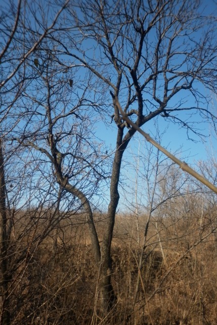 P1010034.JPG