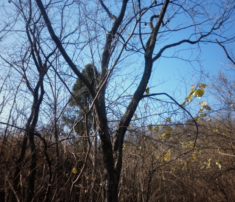 P1010055.JPG