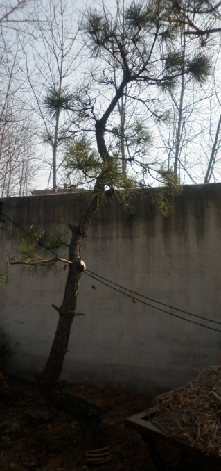 P1010002.JPG