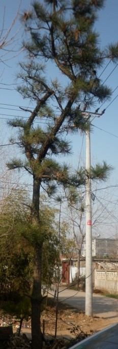 P1010007.JPG