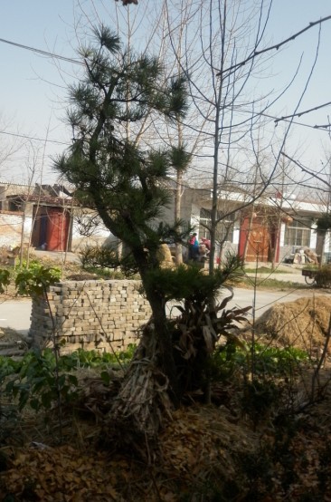 P1010010.JPG