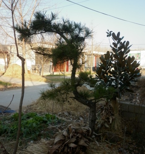 P1010022.JPG