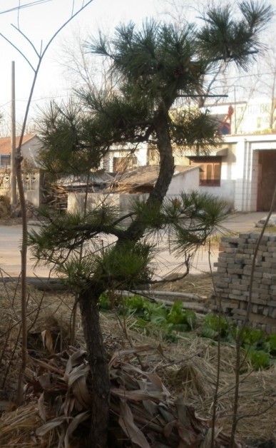 P1010023.JPG