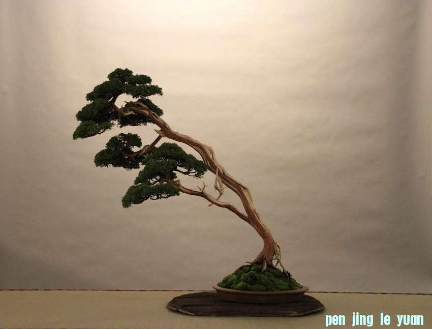 Sakka Ten 2012 004.jpg