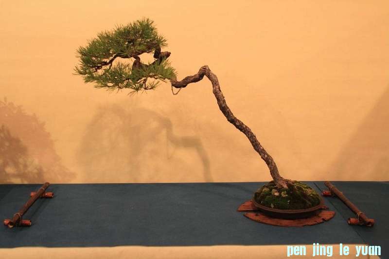 Sakka Ten 2012 014.jpg