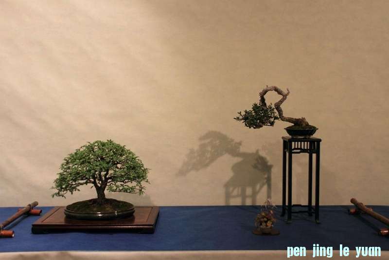 Sakka Ten 2012 022.jpg