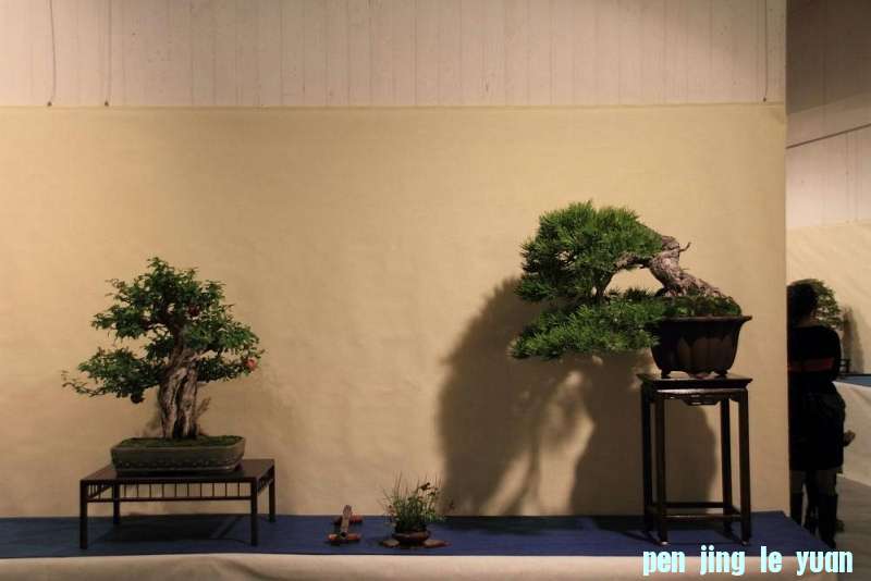 Sakka Ten 2012 023.jpg