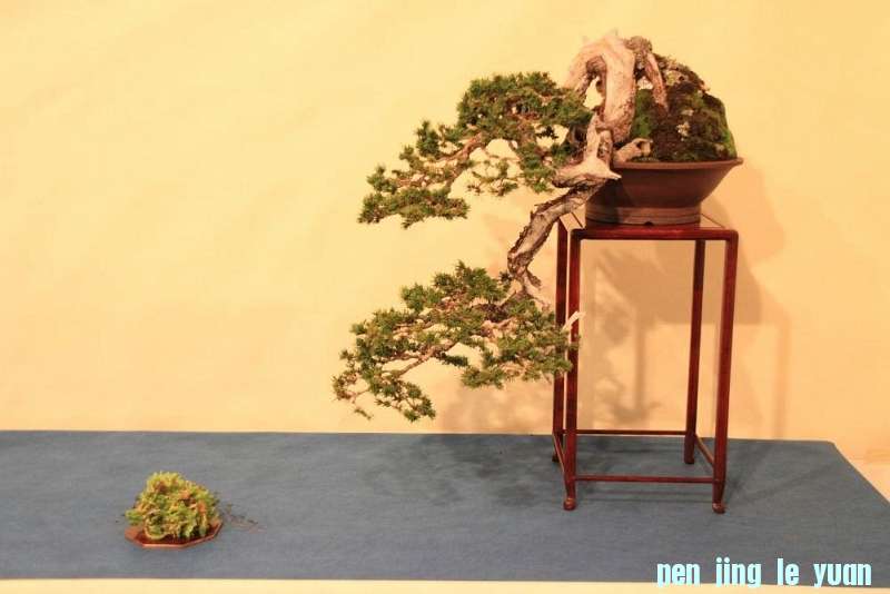 Sakka Ten 2012 027.jpg