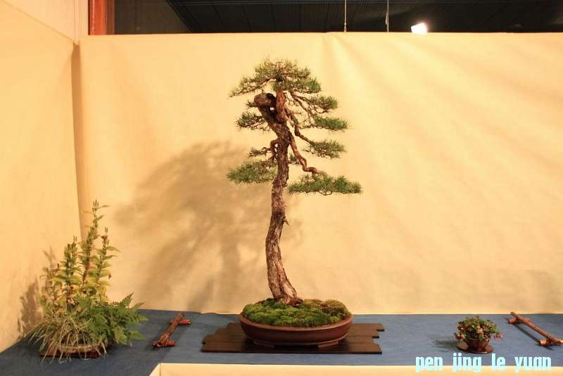 Sakka Ten 2012 030.jpg