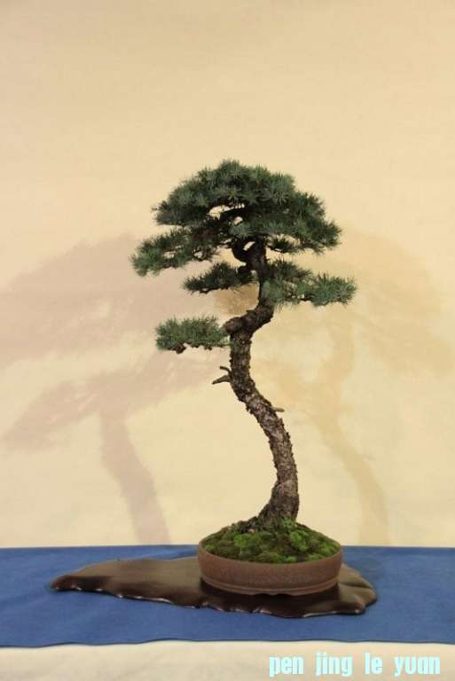 Sakka Ten 2012 042.jpg