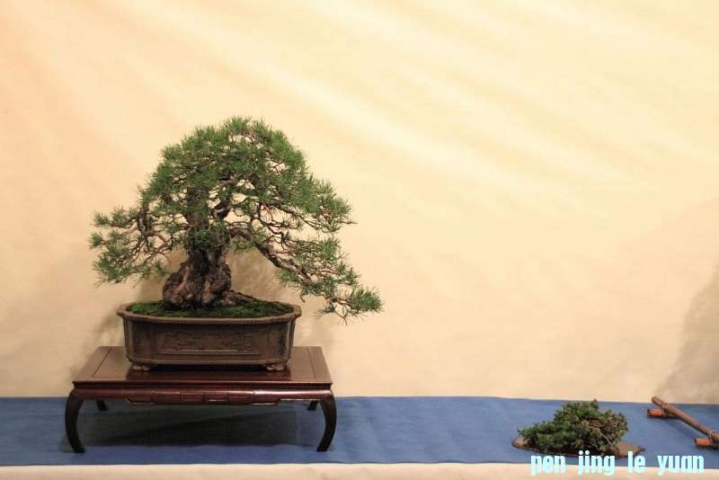 Sakka Ten 2012 045.jpg