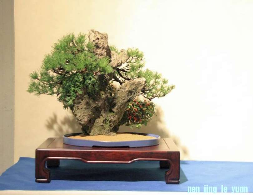 Sakka Ten 2012 054.jpg