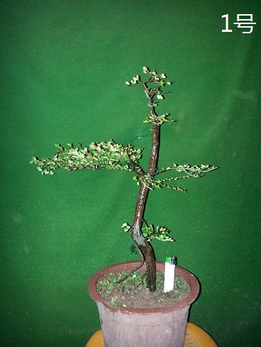 20121210_222709.jpg