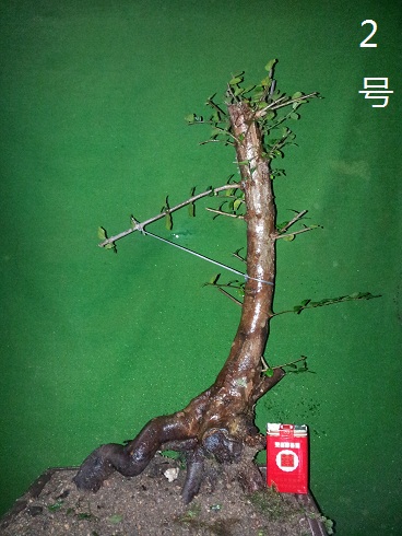 20121210_225416.jpg
