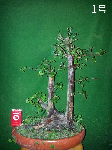 20121210_224633.jpg