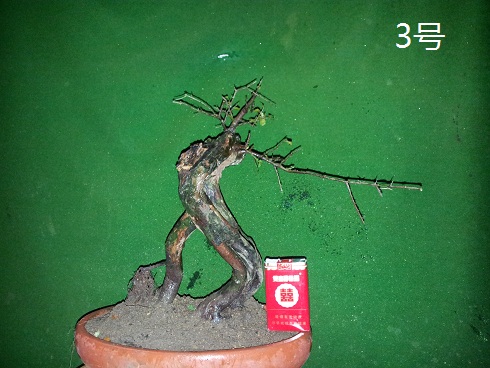 20121210_224916.jpg