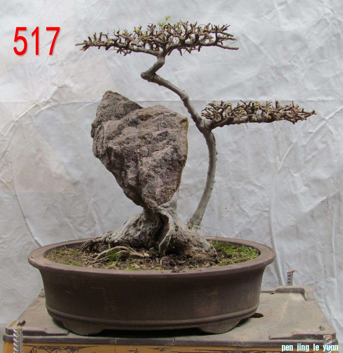 ֦졷ʯ  50CM60CM  .jpg