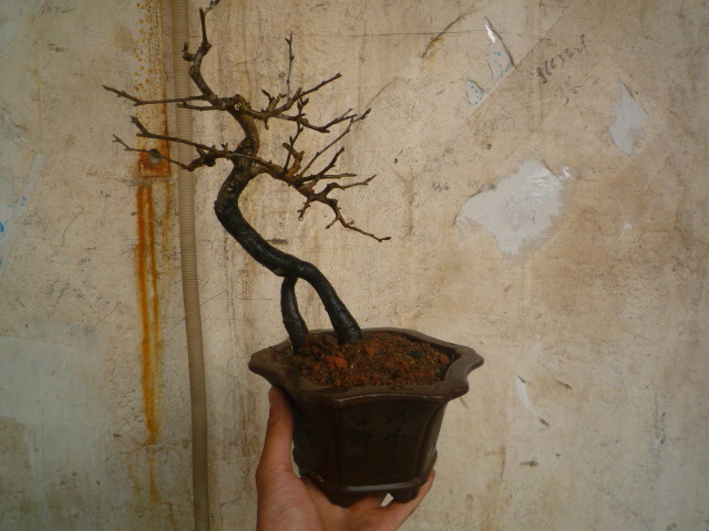 P1070017.JPG