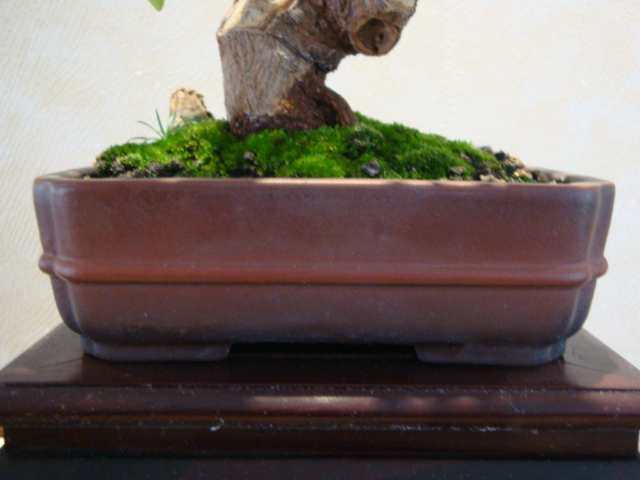DSC01352.JPG