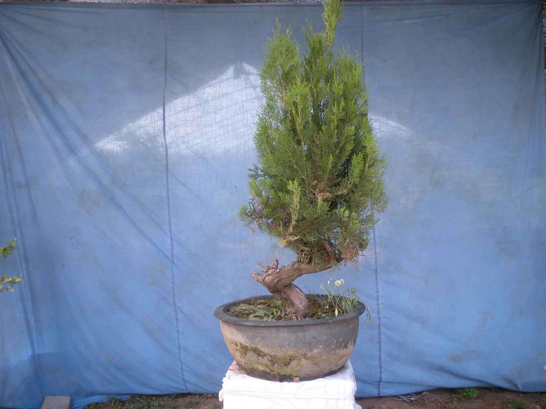 2012.11.28 731.jpg
