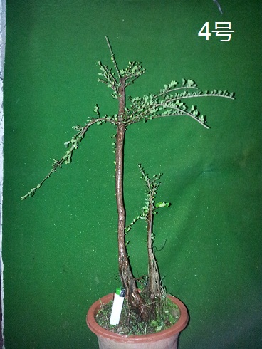 20121211_225943.jpg