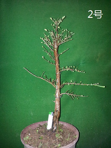20121211_230025.jpg
