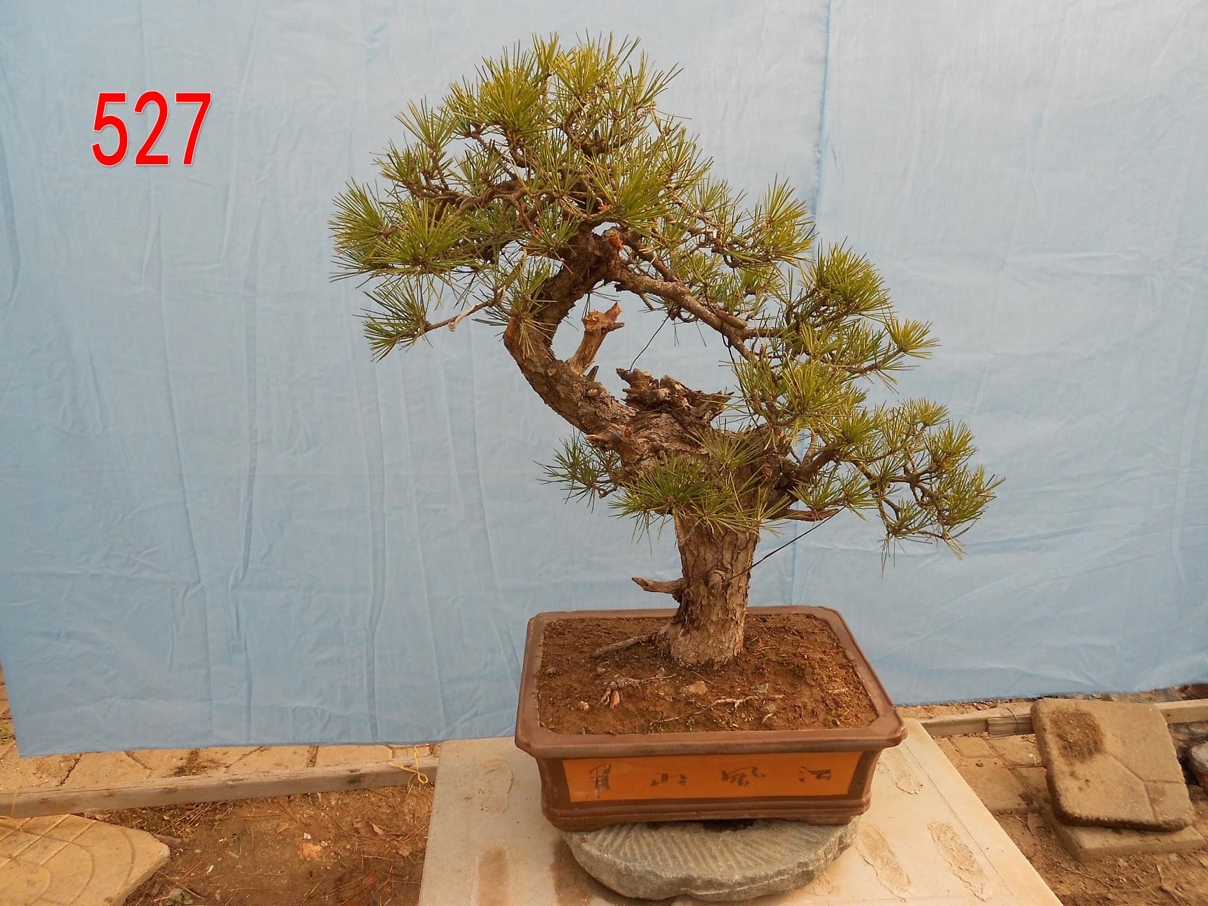   ߴ磺70cm 70cm .jpg