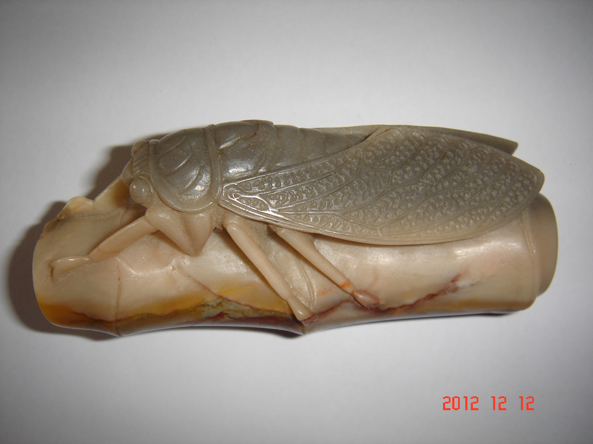 DSC02895.JPG