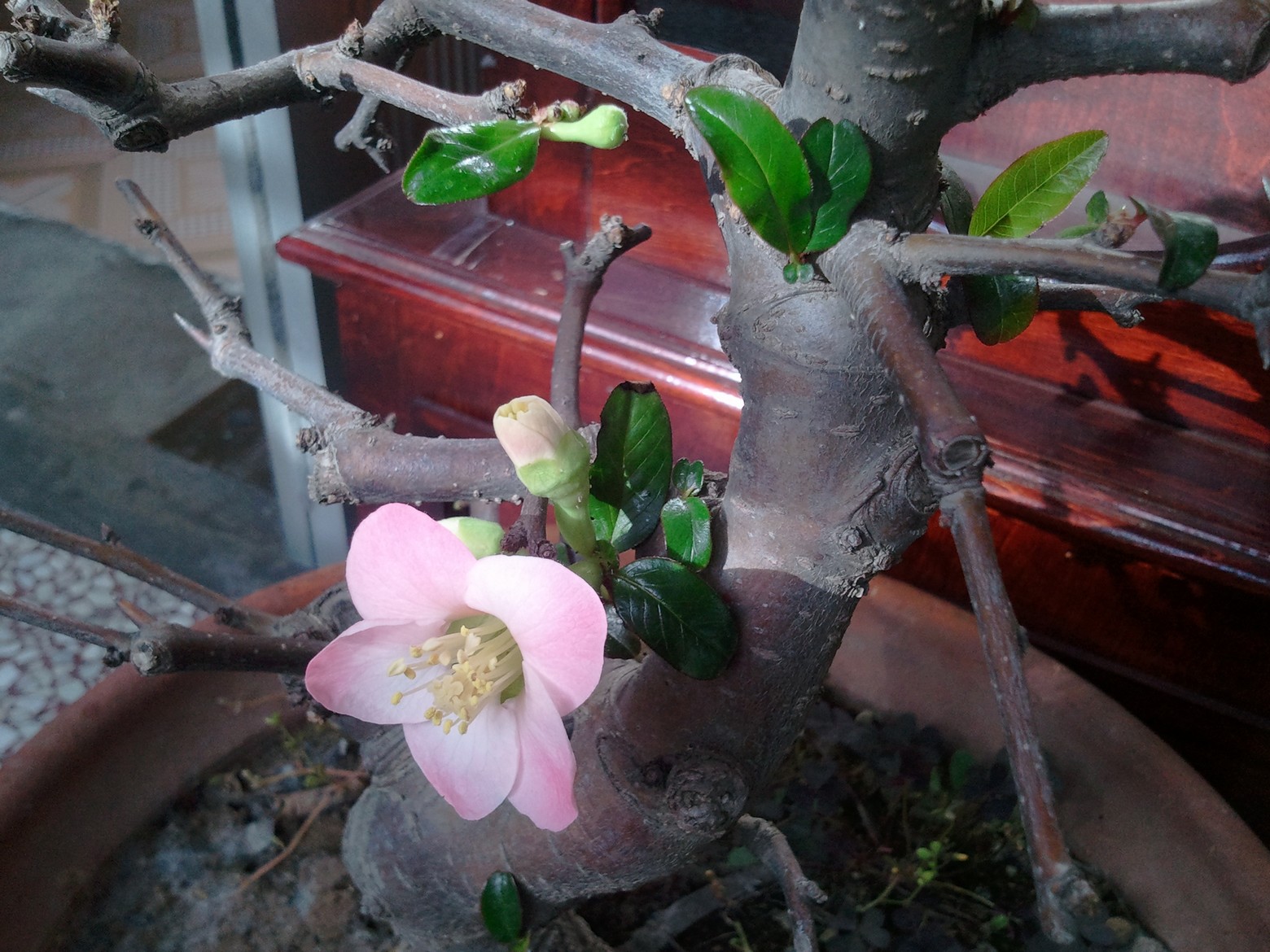 2012-11-17 13.01.15.jpg